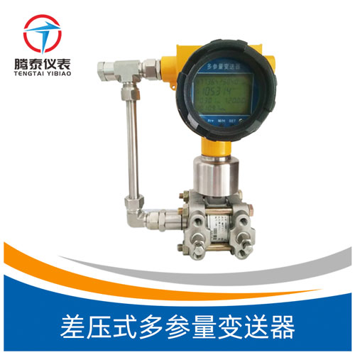 差壓式多參量變送器 差壓式多參量變送器