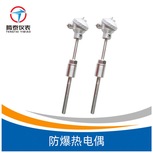 <b>防爆熱電偶</b> <b>防爆熱電偶</b>